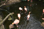 DSC_9176.JPG